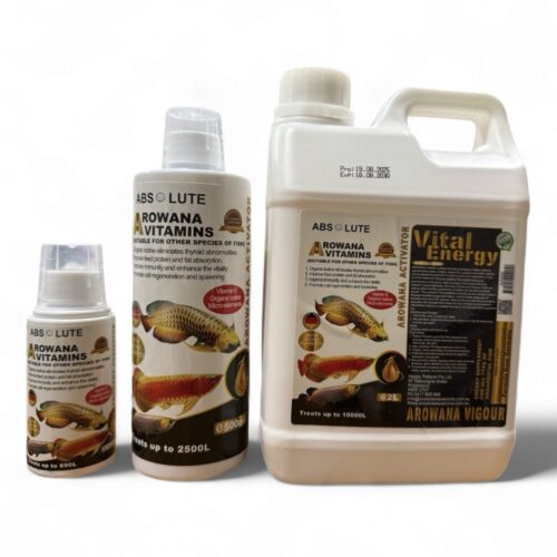 Vital Energy Vitamin