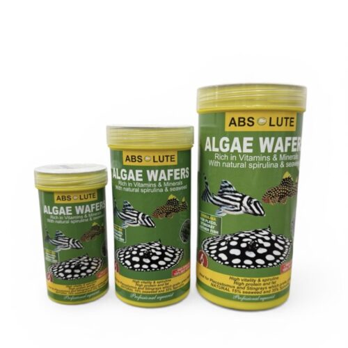 Algae Wafers