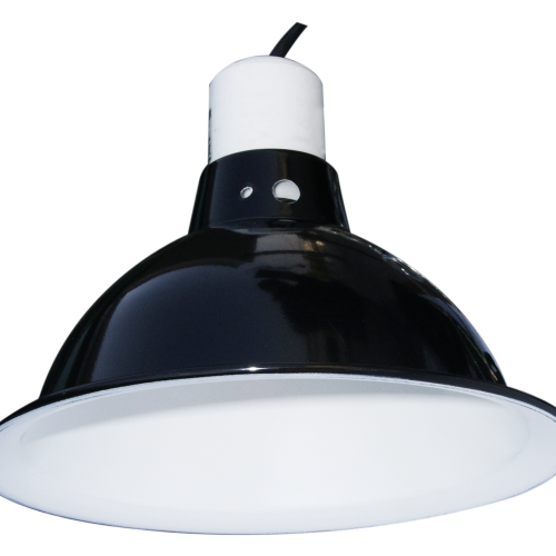 Lamp Clamp Fixtures RL05