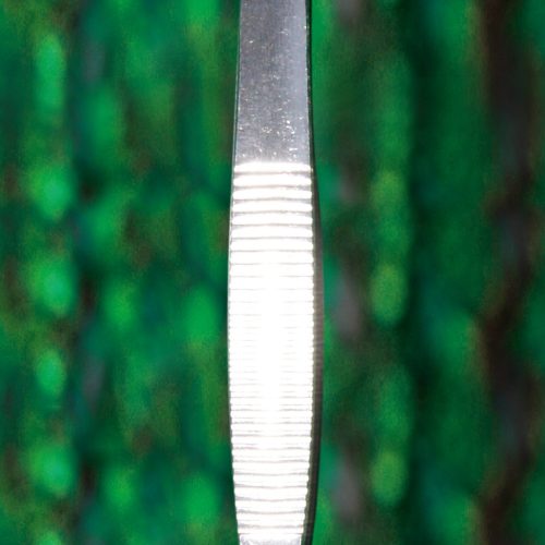 Forcep FR01