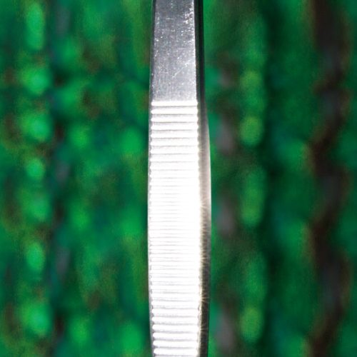 Forcep FR05