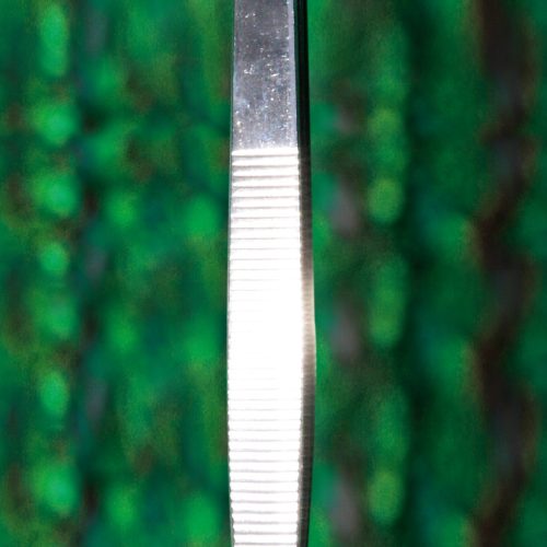 Forcep FR06