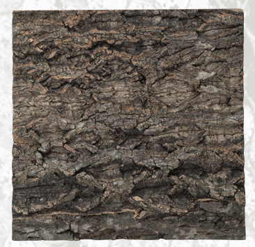 Cork Background NCT01