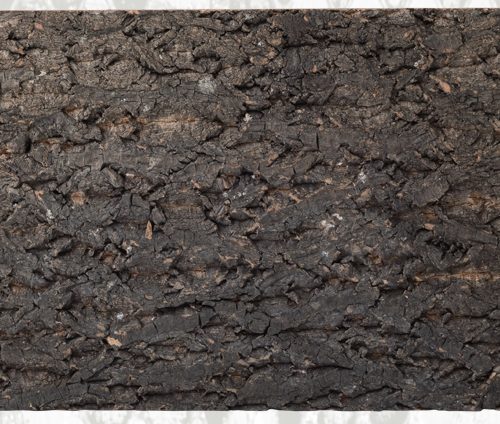 Cork Background NCT02