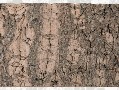 Cork Background NCT08