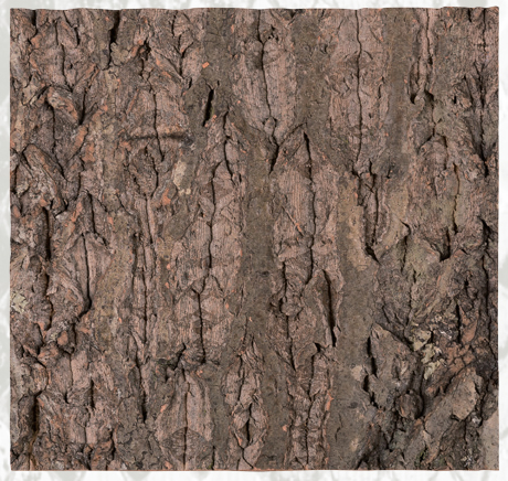 Cork Background NCT10