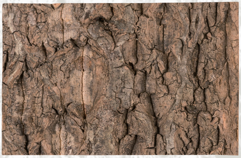 Cork Background NCT11