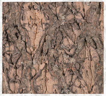 Cork Background NCT12