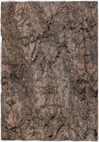 Cork Background NCT13