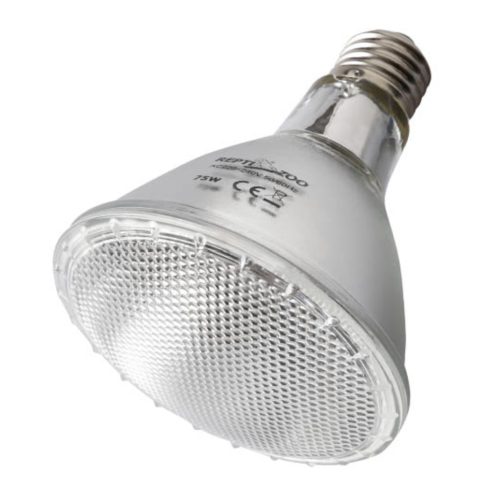 PAR Series UVA Daytime Heating Lamps – Spotlight