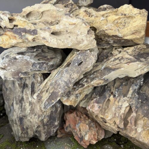 Dragon Stone