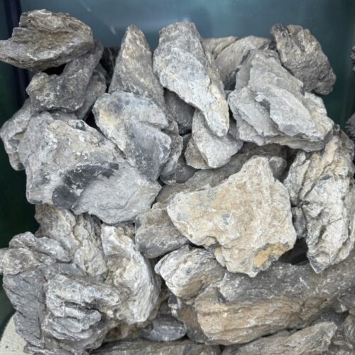 Seiryu stone
